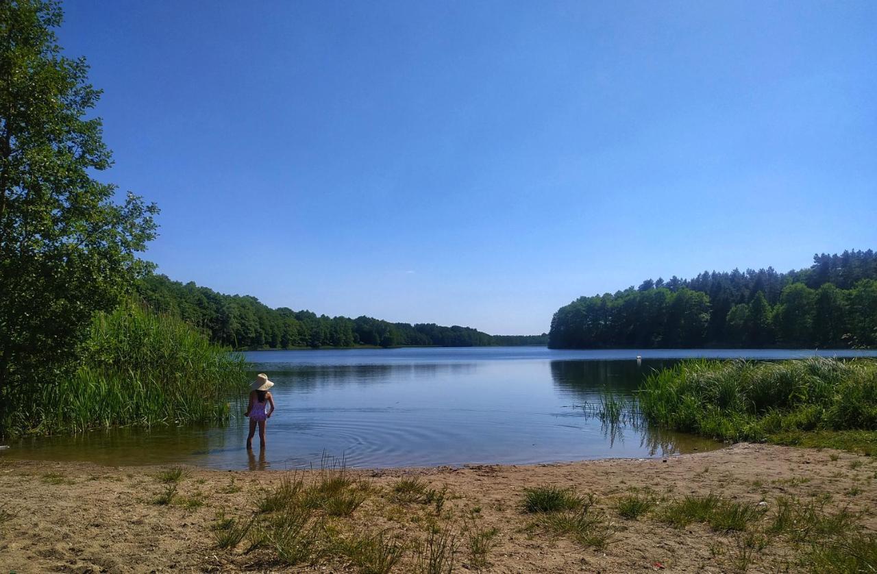 Kaszuby Domek Nad Jeziorem, Las, Grill, Ognisko, Taras, 6 Osob Bozepole Krolewskie Zewnętrze zdjęcie