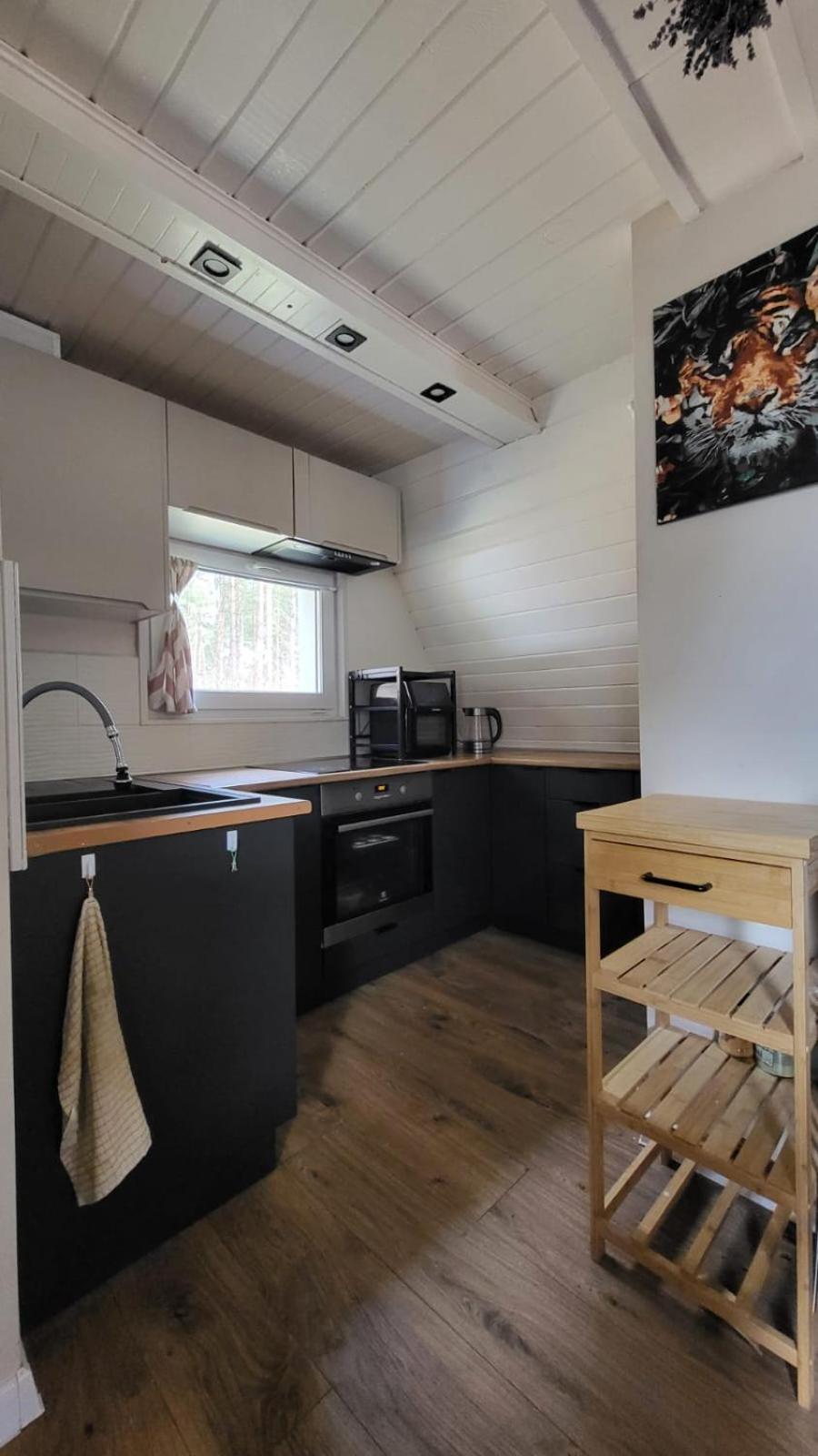 Kaszuby Domek Nad Jeziorem, Las, Grill, Ognisko, Taras, 6 Osob Bozepole Krolewskie Zewnętrze zdjęcie